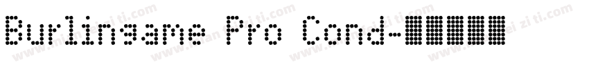 Burlingame Pro Cond字体转换